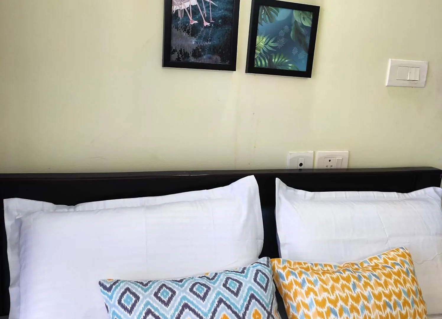 1 Bhk Flat In Kochi 904 Appartement